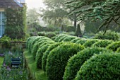 ROCKCLIFFE HOUSE, GLOUCESTERSHIRE: HOUSE WITH CLIPPED TOPIARY BALLS AND CEDAR OF LEBANON - GREEN, SUMMER, MIST, FOG, ROMANTIC, COUNTRY GARDEN