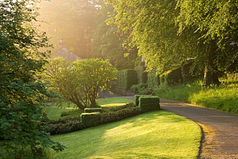 ROCKCLIFFE_HOUSE_GLOUCESTERSHIRE_THE_FRONT_DRIVE_AT_DAWN_WITH_LAWN_AND_TREES__GREEN_DAWN