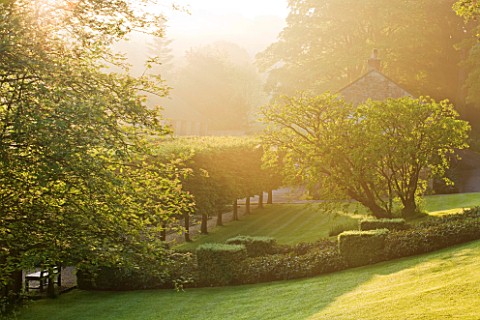 ROCKCLIFFE_HOUSE_GLOUCESTERSHIRE_DAWN_LIGHT_ON_LAWN_AND_TREES_AT_THE_FRONT_OF_THE_HOUSE__MORNING_SUN
