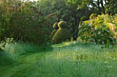 ROCKCLIFFE HOUSE, GLOUCESTERSHIRE: GRASS PATH THROUGH WILDFLOWER MEADOW TO CHESS PAWN CLIPPED YEW TOPIARY - GREEN, SUMMER, COUNTRY GARDEN