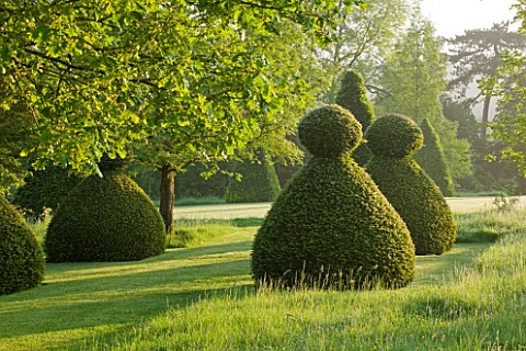 ROCKCLIFFE_HOUSE_GLOUCESTERSHIRE_GRASS_PATH__LAWN_WITH_CHESS_PAWN_CLIPPED_YEW_TOPIARY__GREEN_SUMMER_