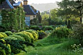 ROCKCLIFFE HOUSE, GLOUCESTERSHIRE: THE HOUSE AND ROW OF CLIPPED TOPIARY BALLS AND CEDAR OF LEBANON TREE - GREEN, COUNTRY GARDEN, SUMMER, MIST, FOG, ROMANTIC