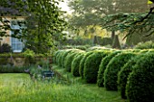 ROCKCLIFFE HOUSE, GLOUCESTERSHIRE: THE HOUSE AND ROW OF CLIPPED TOPIARY BALLS AND CEDAR OF LEBANON TREE - GREEN, COUNTRY GARDEN, SUMMER, MIST, FOG, ROMANTIC