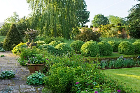 ROCKCLIFFE_HOUSE_GLOUCESTERSHIRE_TERRACE_WITH_LAWN_AND_CLIPPED_TOPIARY_BALLS_SUMMER_GREEN
