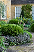 ROCKCLIFFE HOUSE, GLOUCESTERSHIRE: TERRACE WITH HOUSE, CLIPPED TOPIARY BALLS, SAGE AND FOXGLOVES - PATIO, SUMMER GARDEN, COUNTRY