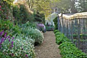 ROCKCLIFFE HOUSE, GLOUCESTERSHIRE: BORDER WITH ERYSIMUM BOWLES MAUVE - VEGETABLE GARDEN WITH FRUIT CAGE TOPPED WITH DECORATIVE FRIEZE. WILD STRAWBERRIES, SUMMER, GREENHOUSE