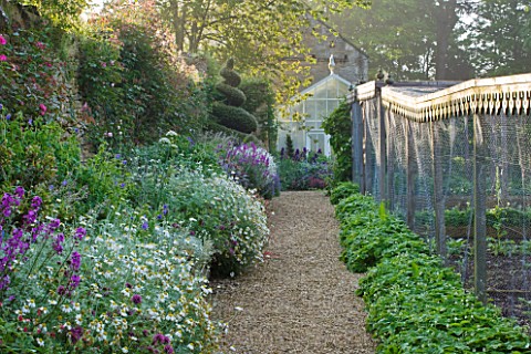 ROCKCLIFFE_HOUSE_GLOUCESTERSHIRE_BORDER_WITH_ERYSIMUM_BOWLES_MAUVE__VEGETABLE_GARDEN_WITH_FRUIT_CAGE