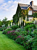 BROCKHAMPTON COTTAGE, HEREFORDSHIRE: BORDER BY LAWN WITH VICTORIAN HOUSE - CRIMSON ASTRANTIA AND WANDS OF WHITE EREMURUS JOANNA - COUNTRY GARDEN, HERBACEOUS, CLASSIC, SUMMER, JUNE