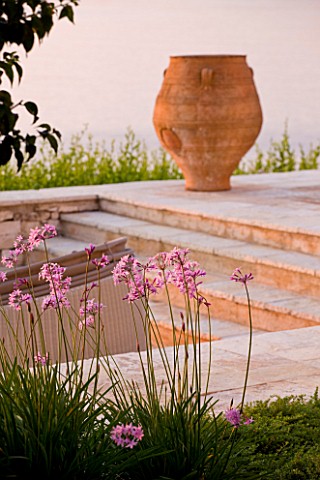 CORFU_GREECE__THE_KASSIOPIA_ESTATE_TERRACOTTA_URN_ON_STONE_TERRACE_WITH_PINK_FLOWERS_OF_TULBAGHIA_VI