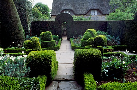 PATH_RUN_BETWEEN_BEDS_EDGED_WITH_CLIPPED_BOX_AND_TOPIARY_SHAPES_AND_THROUGH_ARCH_IN_YEW_HEDGE_HIDCOT