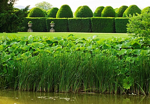 BIRTSMORTON_COURT_WORCESTERSHIRE_VIEW_TOWARDS_THE_WHITE_GARDEN_ACROSS_THE_MOAT_TO_CLIPPED_TOPIARY_HE