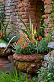 BIRTSMORTON COURT, WORCESTERSHIRE: TERRACOTTA CONTAINER IN WALLED GARDEN PLANTED WITH WALLFLOWERS AND PHORMIUM. POT, WALL, CLASSIC, ENGLISH GARDEN