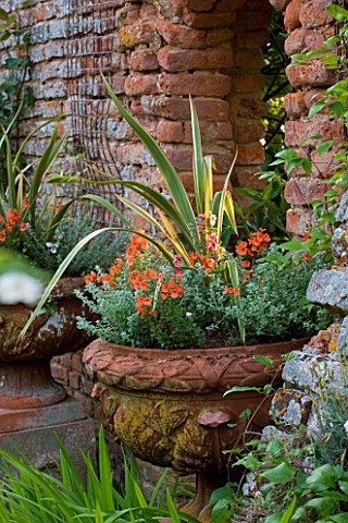 BIRTSMORTON_COURT_WORCESTERSHIRE_TERRACOTTA_CONTAINER_IN_WALLED_GARDEN_PLANTED_WITH_WALLFLOWERS_AND_