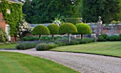 POULTON HOUSE GARDEN, WILTSHIRE: LAWN, GRAVEL PATH -  CLIPPED TOPIARY, DOMED PRUNUS LUSITANICA WITH LAVENDER HIDCOTE LEADING TO WALLED GARDEN -  COUNTRY GARDEN, SUMMER, GREEN
