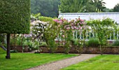 POULTON HOUSE GARDEN, WILTSHIRE: PATH AND LAWN WITH STEPPING STONES LEADING TO GREENHOUSE / GLASSHOUSE WITH CLIMBING ROSES - COUNTRY GARDEN, SUMMER