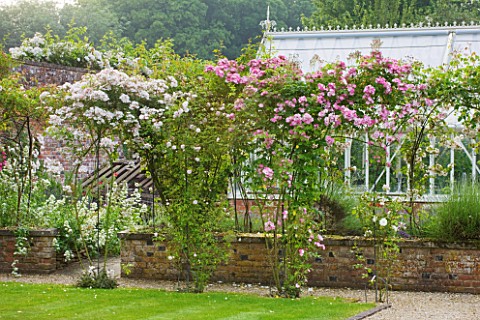 POULTON_HOUSE_GARDEN_WILTSHIRE_PATH_AND_LAWN_WITH_STEPPING_STONES_LEADING_TO_GREENHOUSE__GLASSHOUSE_