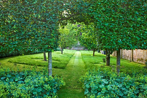POULTON_HOUSE_GARDEN_WILTSHIRE_AN_ARCH_OF_HORNBEAM_HEDGING_LEADS_INTO_THE_ORCHARD_WITH_APPLE_CRAB_AP