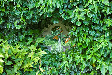 POULTON_HOUSE_GARDEN_WILTSHIRE_DETAIL_OF_STONE_WINDOW_IN_IVY_HEDGE_WITH_VIEW_TO_WATER_FEATURE