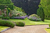 POULTON HOUSE GARDEN, WILTSHIRE: A ROW OF IRISH YEW TREES TO THE RIGHT OF THE LONG BORDER WITH ROSES THE GENEROUS GARDENER & GERTRUDE JEKYLL AND NEPETA. WITH LAVENDER HIDCOTE.