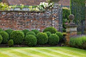 POULTON HOUSE GARDEN, WILTSHIRE: BOX BALLS IN WALLED GARDEN WITH WROUGHT IRON GATES AND LAVENDER