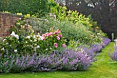 POULTON HOUSE GARDEN, WILTSHIRE: LONG BORDER IN SUMMER WITH NEPETA, GERANIUMS AND ROSE VARIETIES THE GENEROUS GARDENER AND GERTRUDE JEKYLL