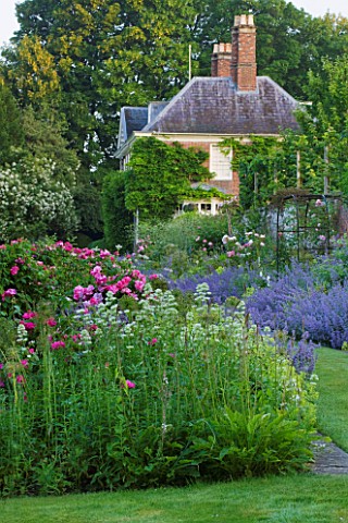 POULTON_HOUSE_GARDEN_WILTSHIRE_THE_WISTERIA_CLAD_HOUSE_AND_LONG_BORDER_IN_SUMMER_WITH_ROSES_AND_NEPE