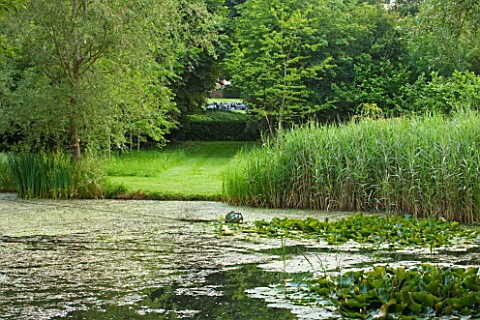POULTON_HOUSE_GARDEN_WILTSHIRE_VIEW_OF_THE_LAKE_IN_SUMMER_WITH_WATERLILIES_AND_GRASS_PATH_WITH_VISTA