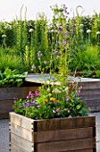 HORATIOS GARDEN  SALISBURY HOSPITAL  WILTSHIRE - DESIGNER CLEEVE WEST - WOODEN CONTAINER PLANTED WITH ANNUALS AND EDIBLES