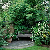 A PLACE TO SIT: BENCH IN SHADY SPOT UNDER SORBARIA AITCHISONII WITH PHILADELPHUS BESIDE. ELUNED PRICES OXFORD GARDEN