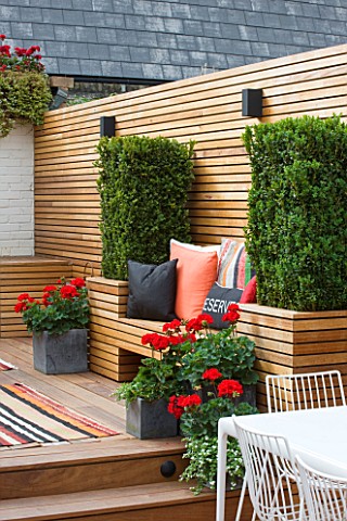 BEN_DE_LISI_HOUSE_AND_GARDEN__LONDON_A_PLACE_TO_SIT__CUSHIONS__CLIPPED_BOX_AND_CONTAINERS_WITH_RED_G