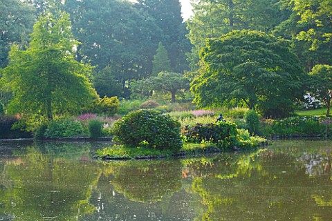 MARWOOD_HILL__DEVON_THE_MIDDLE_LAKE_WITH_ISLAND_AND_ASTILBE_BEDS_BEHIND