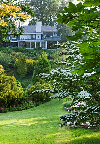 MARWOOD_HILL__DEVON_MARWOOD_HILL_HOUSE_WITH_CORNUS_KOUSA_IN_THE_FOREGROUND