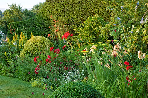 WOOLSTONE_MILL_HOUSE_OXFORDSHIRE_PERENNIAL_BORDER_IN_FRONT_OF_YEW_HEDGES_IN_THE_GARDEN