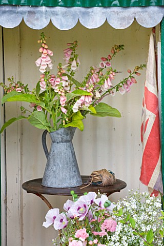 COMMON_FARM_FLOWERS_SOMERSET_SUMMER__GREEN_SHED_WITH_TABLE_AND_METAL_BUCKETS_WITH_DIGITALIS_SUTTONS_
