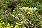COMMON FARM FLOWERS. SOMERSET, SUMMER - THE FLOWER GARDEN WITH ROSES - FLOWERS, FLOWERING, PINK