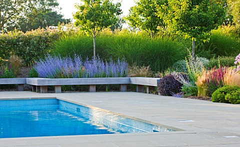 LE_HAUT_GUERNSEY_BORDER_BY_SWIMMING_POOL_WITH_WOODEN_BENCH_PLANTED_WITH_STIPA_TENUISSIMA_AND_CAMPANU
