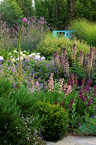 LE_HAUT_GUERNSEY_BORDER_WITH_PENSTEMON_AND_ACANTHUS_SPINOSUS