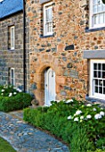 LE HAUT, GUERNSEY: FRONT DOOR WITH PATH AND HYDRANGEA MACROPHYLLA �MADAME EMILE MOUILLERE