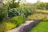 LE HAUT, GUERNSEY: PATH BESIDE HOUSE WITH LAVENDER AND FENNEL AND HEDGE OF ESCALLONIA IVEYI