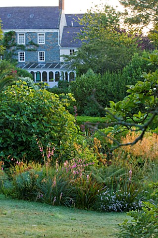 MILLE_FLEURS__GUERNSEY_VIEW_OF_THE_HOUSE_WITH_STIPA_GIGANTEA_AND_DIERAMA_PULCHERRIMUM_IN_BORDER_BY_L