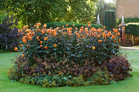 CHENIES_MANOR_BUCKINGHAMSHIRE_LAWN_AT_FRONT_OF_MANOR_HOUSE_WITH_BED_OF_DAHLIA_DAVID_HOWARD__COUNTRY_