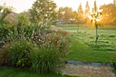 MARCHANTS HARDY PLANTS, EAST SUSSEX: BORDER WITH GRASSES AND LAWN AT SUNRISE. COUNTRY GARDEN, ENGLISH