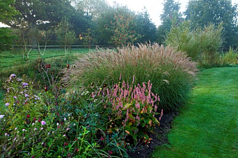 MARCHANTS_HARDY_PLANTS_EAST_SUSSEX_BORDER_WITH_GRASSES_AND_LAWN_AT_SUNRISE_COUNTRY_GARDEN_ENGLISH