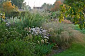 MARCHANTS HARDY PLANTS, EAST SUSSEX: LAWN AND BORDER WITH GRASSES. COUNTRY, GARDEN, ENGLISH, HERBACEOUS, GRASS, PERENNIALS