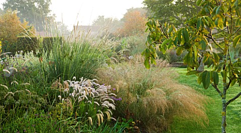 MARCHANTS_HARDY_PLANTS_EAST_SUSSEX_LAWN_AND_BORDER_WITH_GRASSES_COUNTRY_GARDEN_ENGLISH_HERBACEOUS_GR