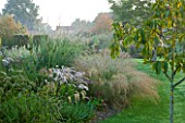MARCHANTS HARDY PLANTS, EAST SUSSEX: BORDER BESIDE LAWN WITH GRASSES. COUNTRY, GARDEN, ENGLISH