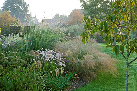 MARCHANTS_HARDY_PLANTS_EAST_SUSSEX_BORDER_BESIDE_LAWN_WITH_GRASSES_COUNTRY_GARDEN_ENGLISH