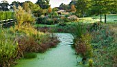 MARCHANTS HARDY PLANTS, EAST SUSSEX: LAKE AT THE END OF THE GARDEN, WATER, POOL, NATURAL, POND, LAKE