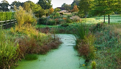 MARCHANTS_HARDY_PLANTS_EAST_SUSSEX_LAKE_AT_THE_END_OF_THE_GARDEN_WATER_POOL_NATURAL_POND_LAKE