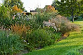 MARCHANTS HARDY PLANTS, EAST SUSSEX: LAWN AND HERBACEOUS BORDER OF PERENNIALS AND GRASSES. COUNTRY, GARDEN, ENGLISH, LATE SUMMER, AUTUMN